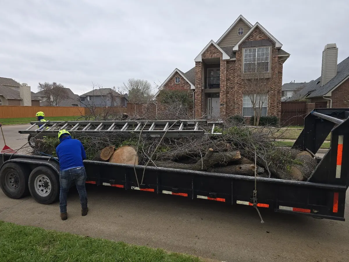 Expert Lot Clearing with proper safety equipment in Cornucopia